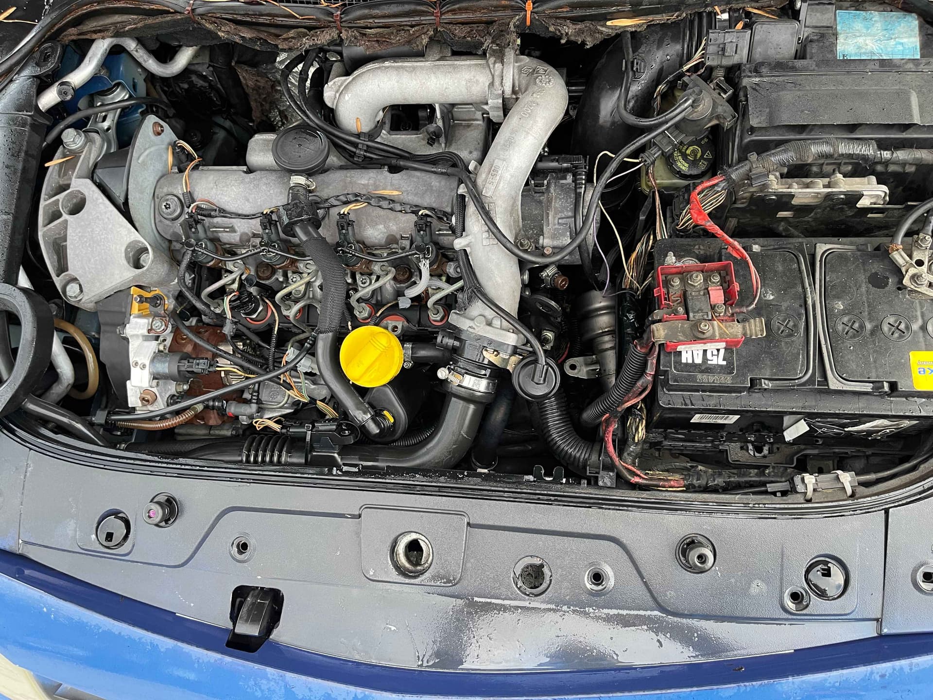 Renault Megane - harnex