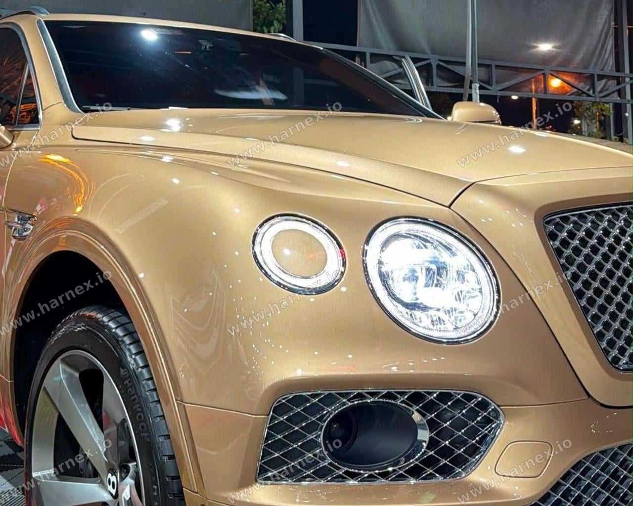 Bentley Bentayga - harnex