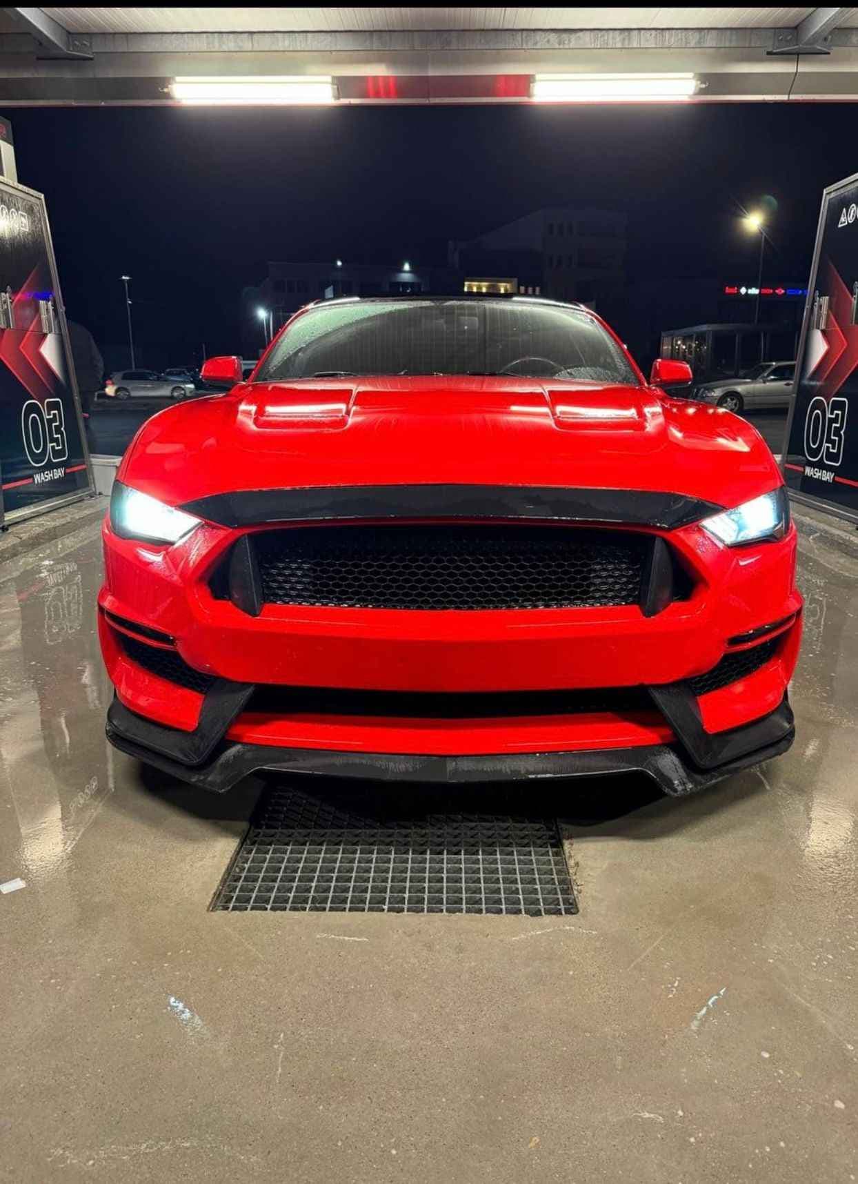 Ford Mustang - harnex