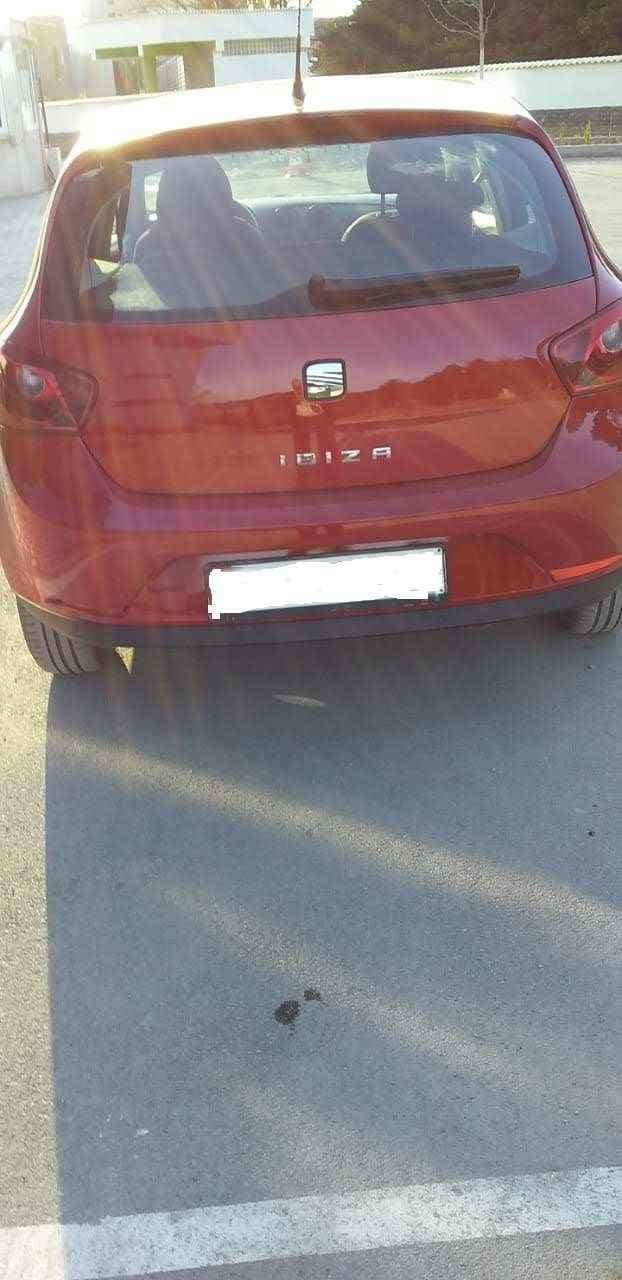 Seat Ibiza - harnex