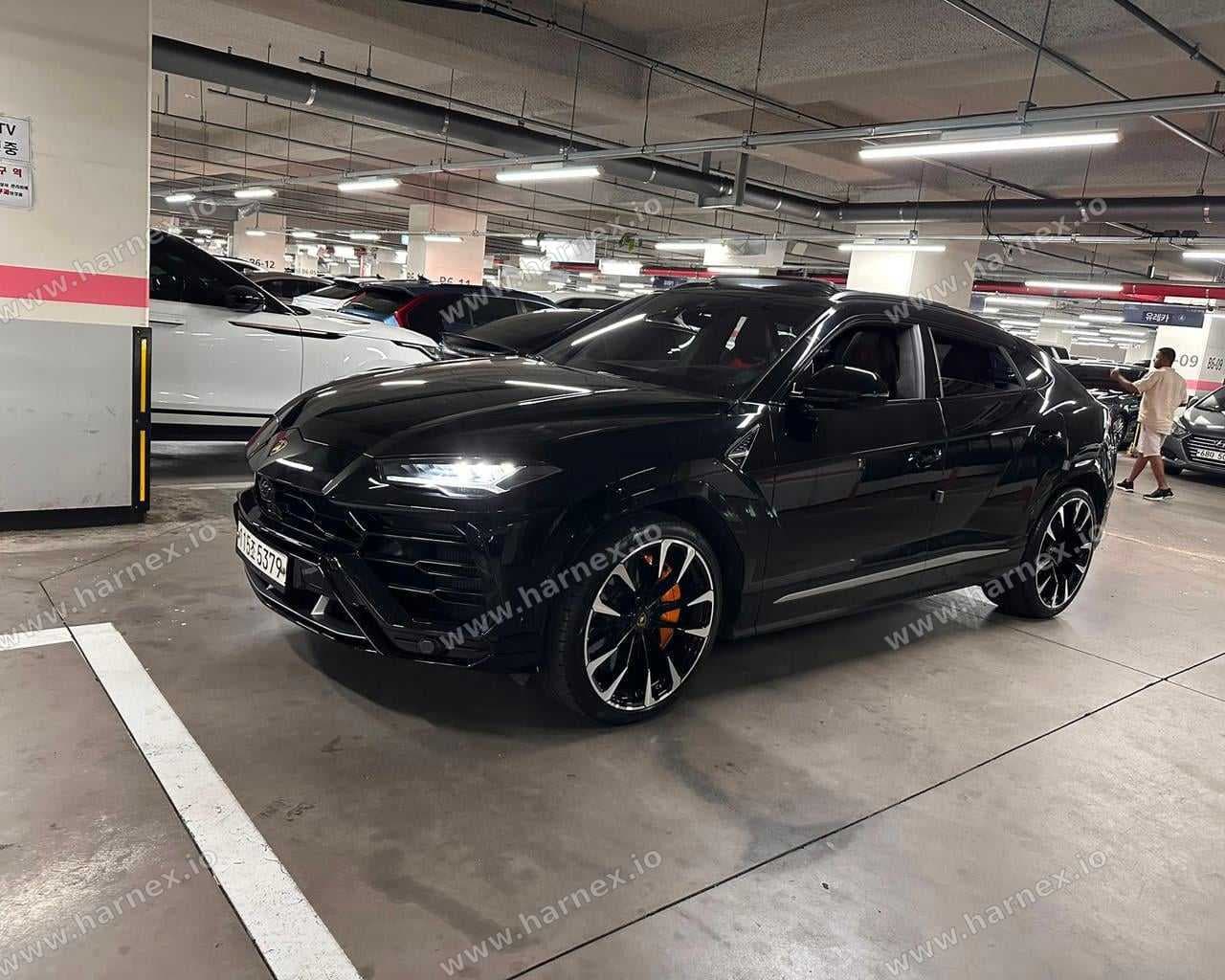 Lamborghini Urus - harnex