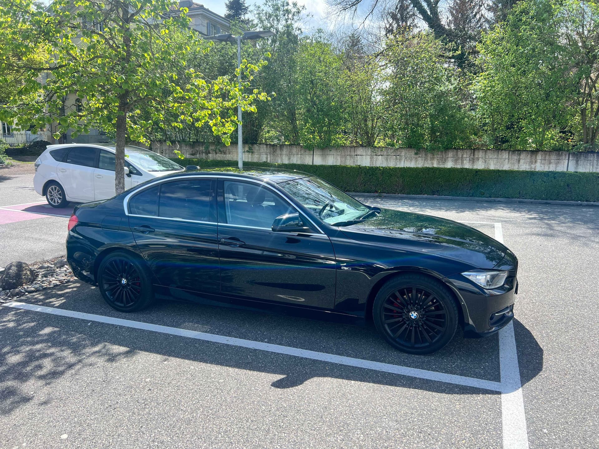 BMW 320 - harnex