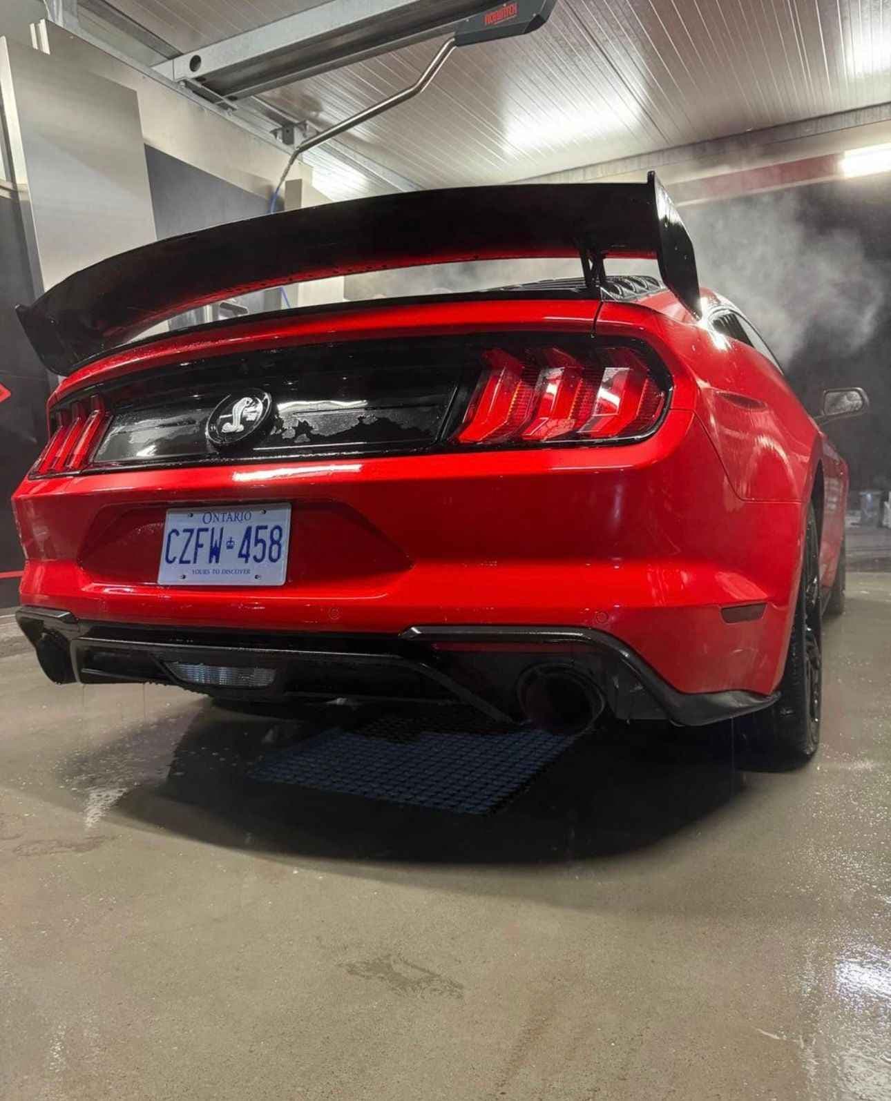 Ford Mustang - harnex