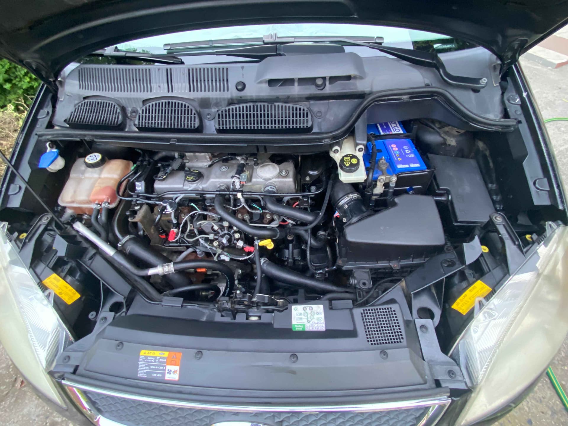 Ford Focus - harnex