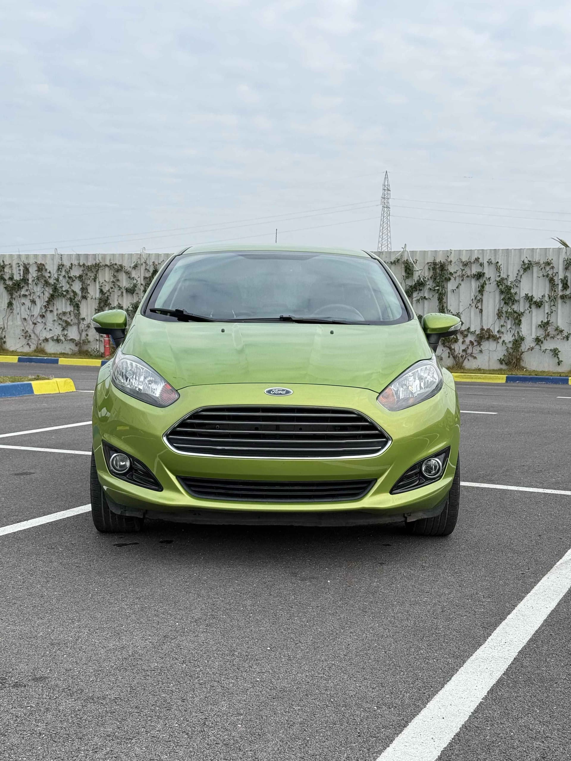 Ford Fiesta - harnex